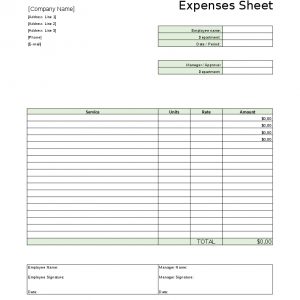 expenses sheet template, project manager