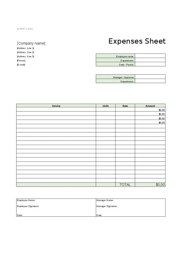expenses sheet template, project manager