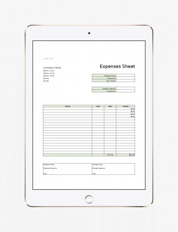 Expenses sheet template, project management
