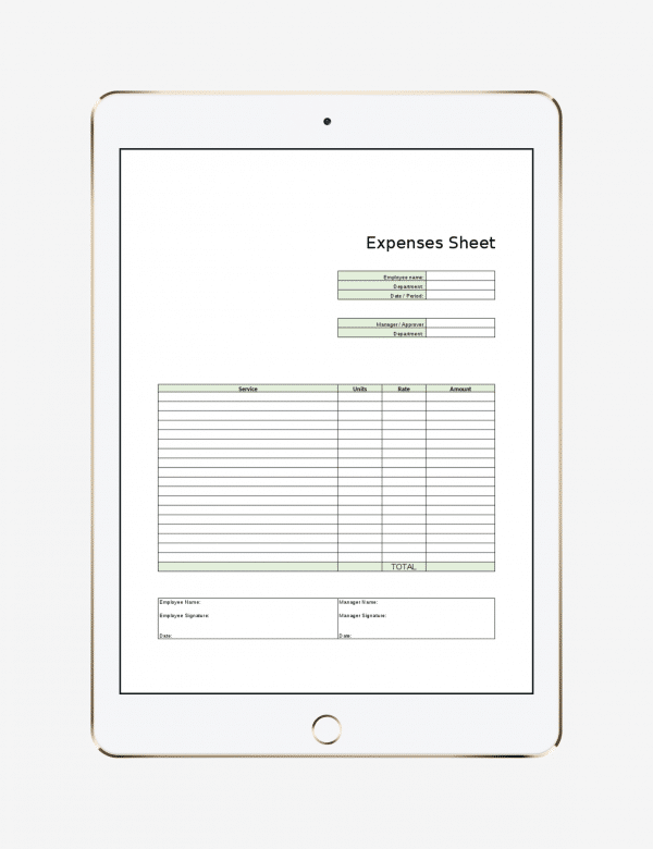 Expenses sheet template, Project management